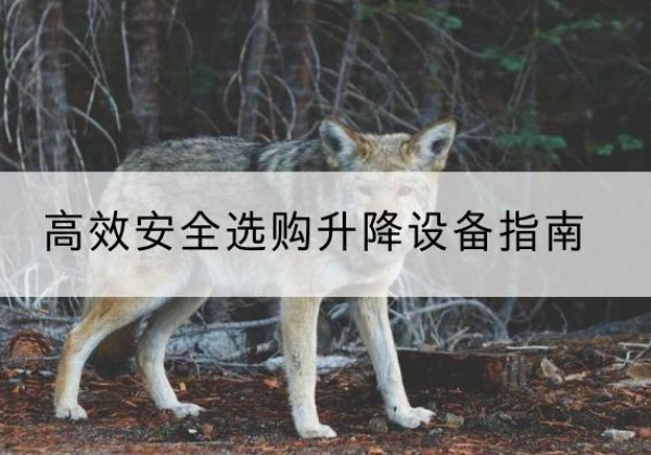 岚皋升降货梯厂家推荐-*安全选购升降设备指南