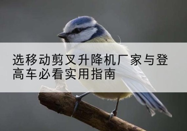 岚皋电动升降机厂家-选移动剪叉升降机厂家与登高车必看实用指南