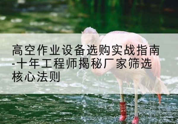 岚皋剪叉式升降机厂家-高空作业设备选购实战指南-十年工程师揭秘厂家筛选核心法则