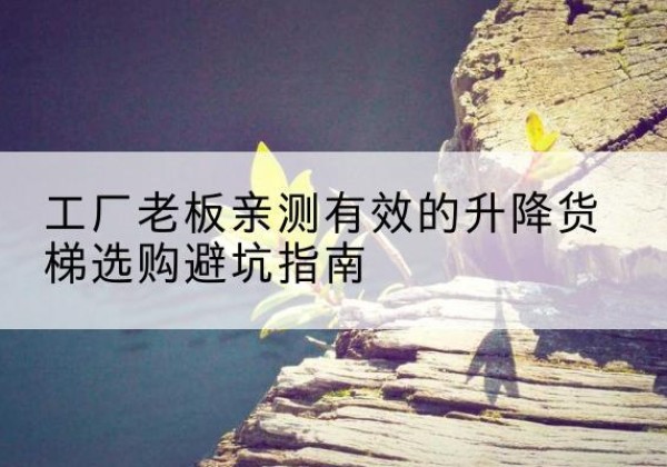 岚皋升降货梯怎么选-工厂老板亲测有效的升降货梯选购避坑指南